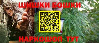 spice Гатчина